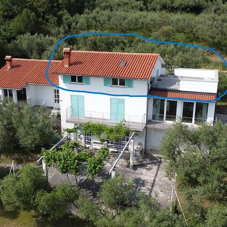 Apartmán House Among Olive Trees With A Sea View 1 Ankaran Exteriér fotografie