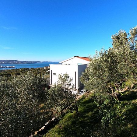 Apartmán House Among Olive Trees With A Sea View 1 Ankaran Exteriér fotografie