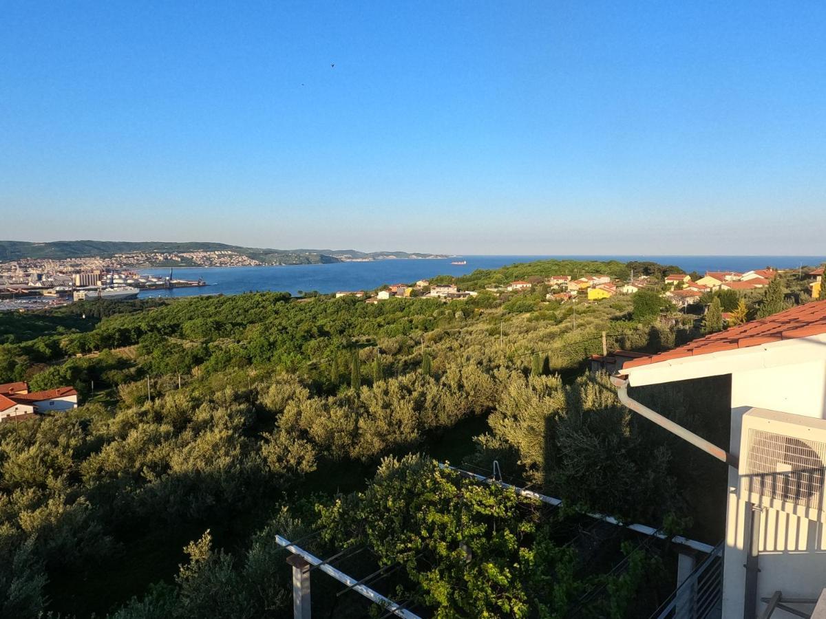 Apartmán House Among Olive Trees With A Sea View 1 Ankaran Exteriér fotografie