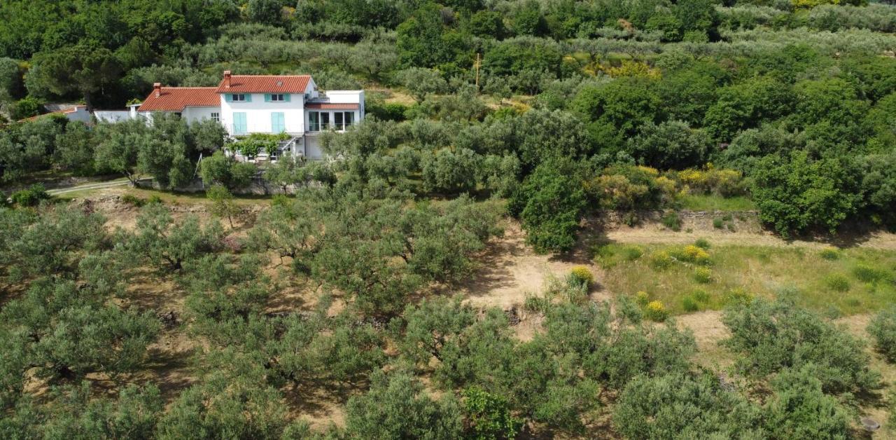 Apartmán House Among Olive Trees With A Sea View 1 Ankaran Exteriér fotografie