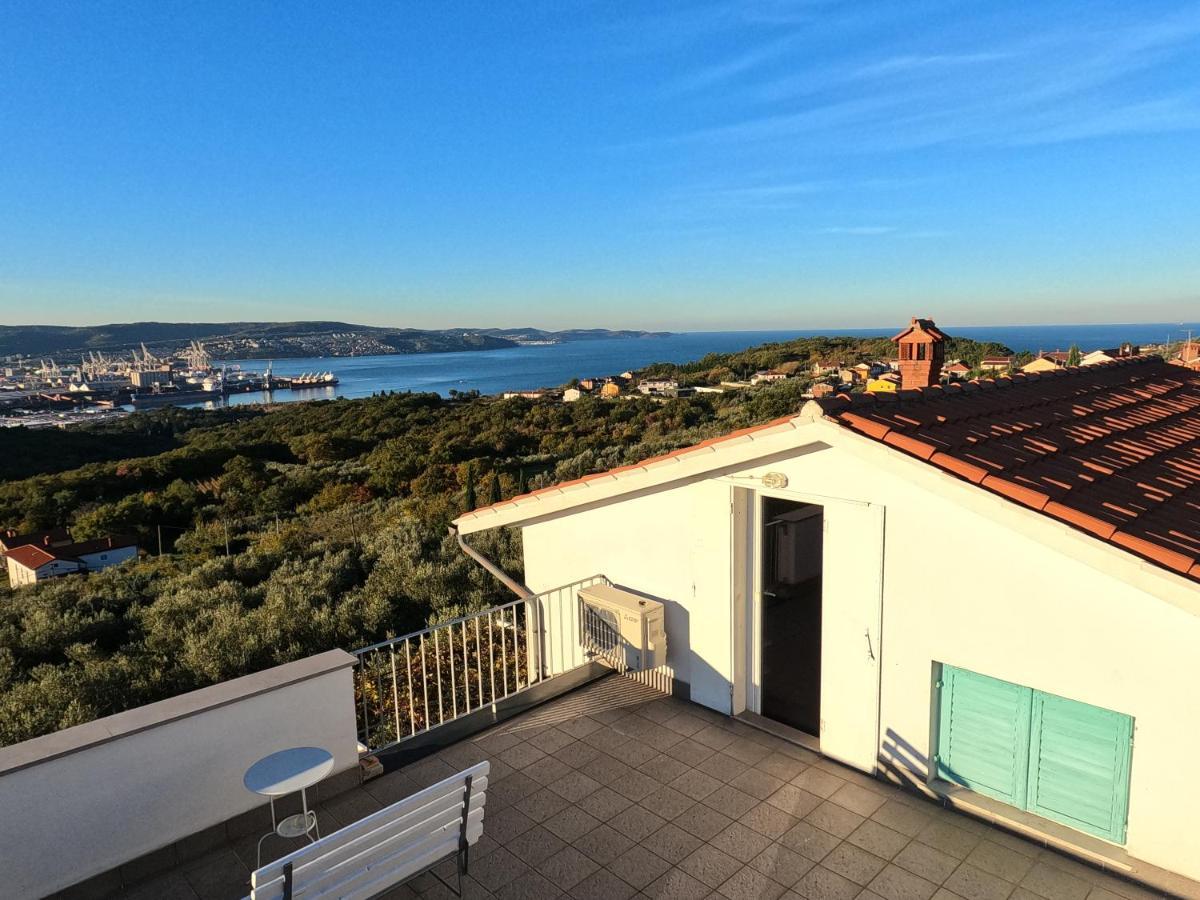 Apartmán House Among Olive Trees With A Sea View 1 Ankaran Exteriér fotografie